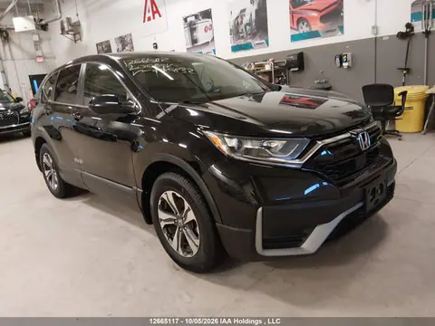 2HKRW1H29LH000832 — 2020 Honda CR-V, Угон (Theft), фото до ремонта