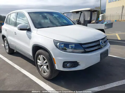 2013 Volkswagen Tiguan S/Se/Sel VIN WVGJV3AX4DW564977 фото 1