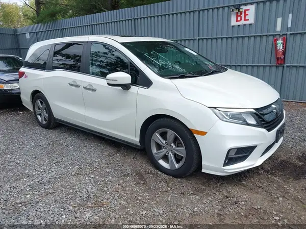 5FNRL6H78KB003302 — 2019 Honda Odyssey, Подтопление (Flood), фото до ремонта