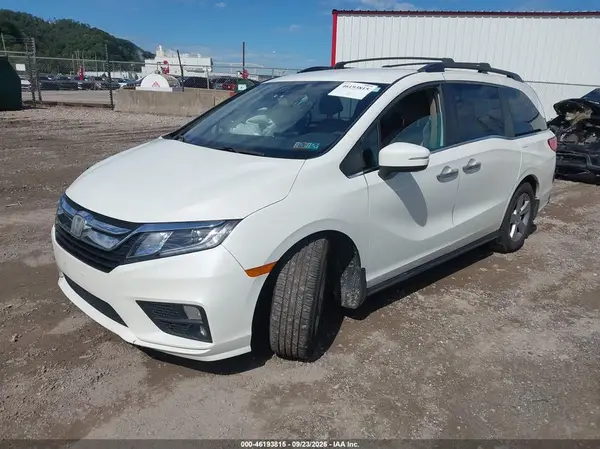 5FNRL6H52KB115415 — 2019 Honda Odyssey, фото 2 с аукциона IAAI, Правый бок