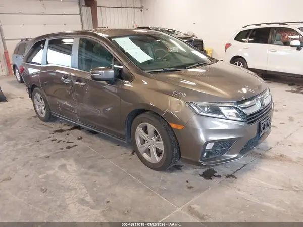 5FNRL6H51LB012505 — 2020 Honda Odyssey, Задняя часть (Rear), фото до ремонта