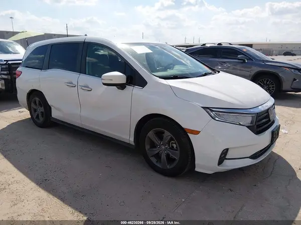 5FNRL6H53MB013639 — 2021 Honda Odyssey, Правый бок (Right Side), фото до ремонта