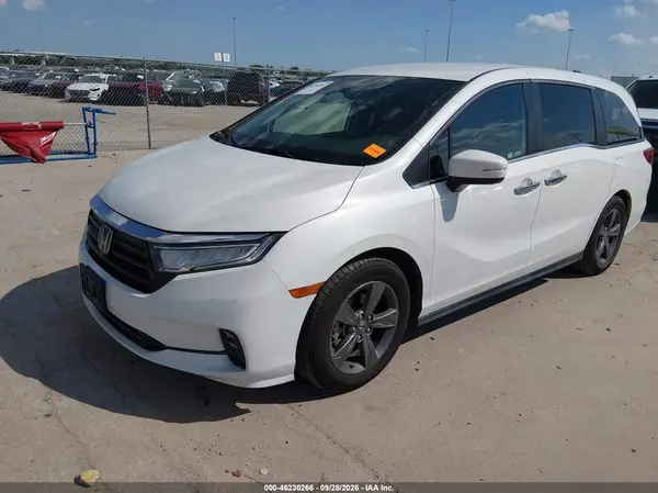 5FNRL6H53MB013639 — 2021 Honda Odyssey, фото 2 с аукциона IAAI, Правый бок