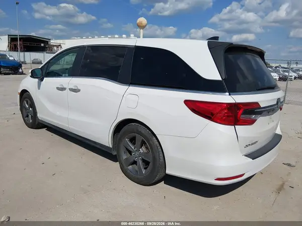 5FNRL6H53MB013639 — 2021 Honda Odyssey, фото 3 с аукциона IAAI, Правый бок