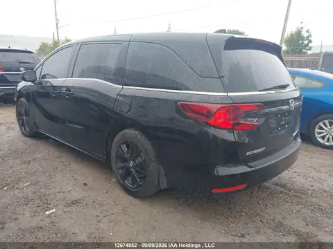 2023 Honda Odyssey VIN 5FNRL6H04PB503760 фото 3