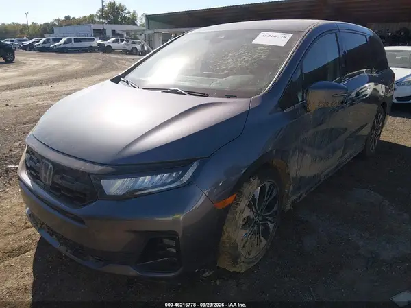 5FNRL6H98SB012163 — 2025 Honda Odyssey, фото 2 с аукциона IAAI, Подтопление