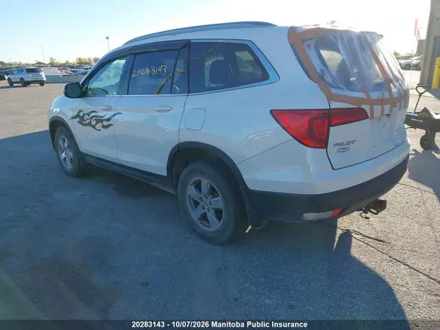 5FNYF6H70HB508102 — 2017 Honda Pilot EX-L, фото 3 с аукциона IAAI 14.10.2026, Град