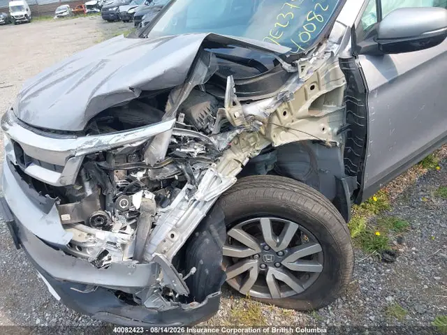 5FNYF6H73KB507405 — 2019 Honda Pilot EXL, фото 2 с аукциона IAAI 14.10.2026, Передняя часть слева