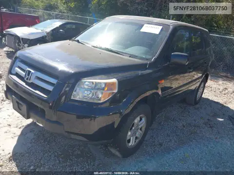 2006 Honda Pilot Lx VIN 5FNYF28106B037750 фото 3