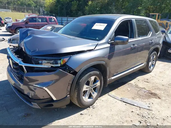 5FNYG1H48RB032544 — 2024 Honda Pilot, фото 2 с аукциона IAAI, Передняя часть
