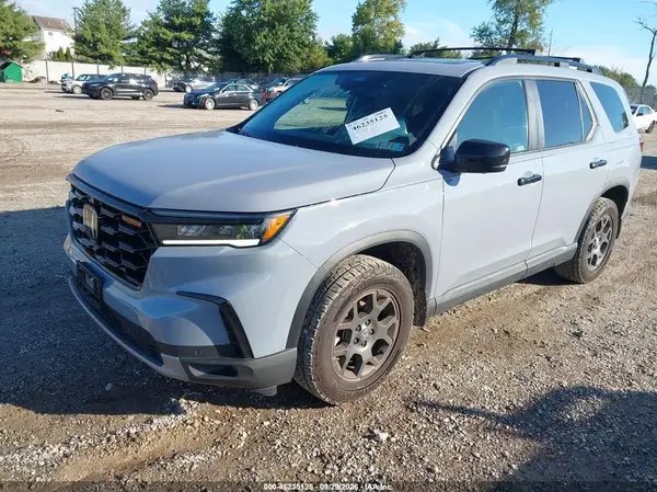 5FNYG1H68RB030939 — 2024 Honda Pilot, фото 2 с аукциона IAAI, Задняя часть