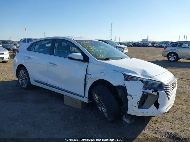 2019 Hyundai Ioniq VIN KMHC05LC2KU124102 фото 1