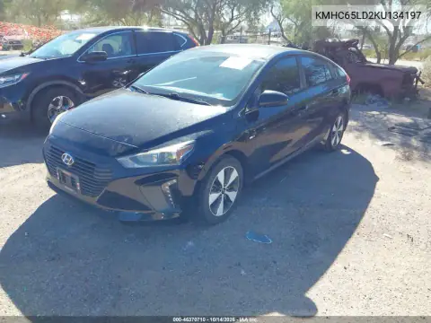 KMHC65LD2KU134197 — 2019 Hyundai Ioniq, фото 3 с аукциона IAAI, Не указано