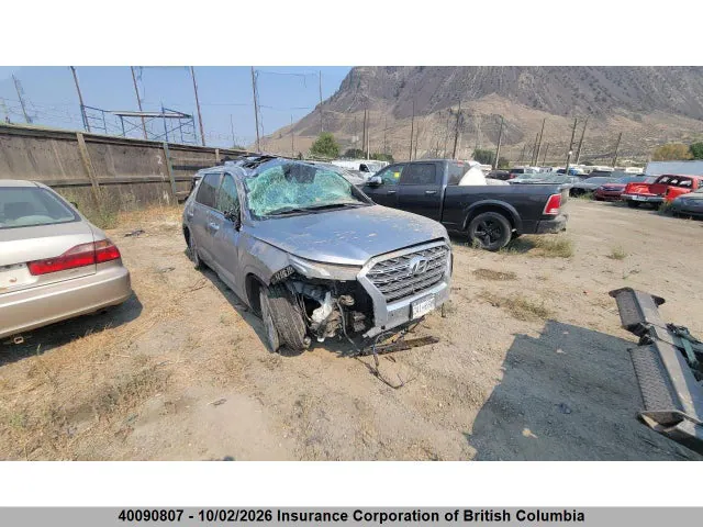 2020 Hyundai Palisade Limited VIN KM8R5DHE8LU107662 фото 1