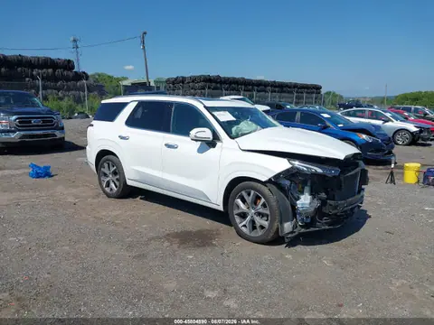 KM8R5DHE9NU386039 — 2022 Hyundai Palisade Limited, Биологическая или химическая опасность (Biohazard), фото до ремонта
