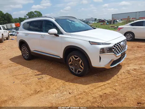 5NMS4DAL8MH318189 — 2021 Hyundai Santa Fe Limited, Град (Hail), фото до ремонта