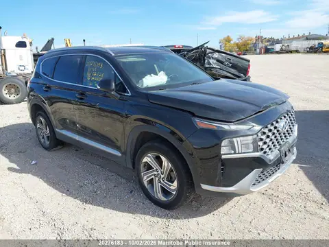 2021 Hyundai Santa Fe Preferred VIN 5NMS3DAJ1MH342609 фото 1