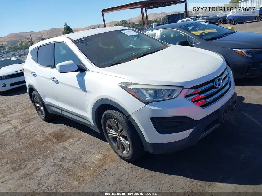 2014 Hyundai Santa Fe Sport 2.4L VIN 5XYZTDLB1EG175667 фото 1
