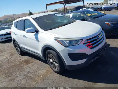 5XYZTDLB1EG175667 — 2014 Hyundai Santa FE, Естественный износ, фото до ремонта