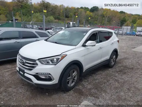 5XYZUDLB6HG450712 — 2017 Hyundai Santa FE, фото 3 с аукциона IAAI, Не указано
