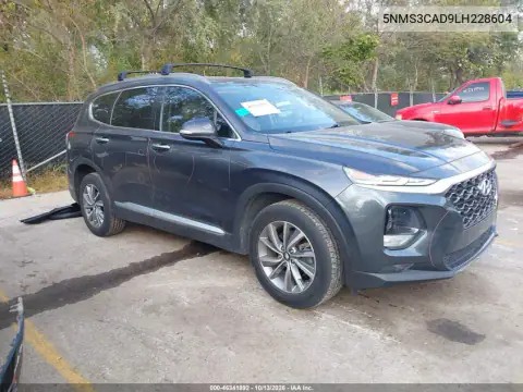 5NMS3CAD9LH228604 — 2020 Hyundai Santa FE, Сзади, фото до ремонта