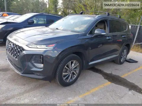 5NMS3CAD9LH228604 — 2020 Hyundai Santa FE, фото 3 с аукциона IAAI, Задняя часть