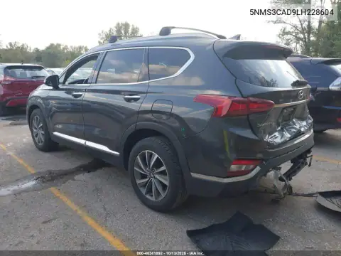5NMS3CAD9LH228604 — 2020 Hyundai Santa FE, фото 4 с аукциона IAAI, Задняя часть