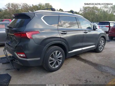 5NMS3CAD9LH228604 — 2020 Hyundai Santa FE, фото 5 с аукциона IAAI, Задняя часть