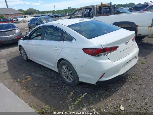 2019 Hyundai Sonata Essential VIN 5NPE24AF6KH742385 фото 3