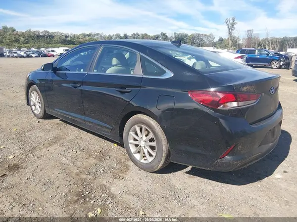 5NPE24AF5KH786135 — 2019 Hyundai Sonata, фото 3 с аукциона IAAI 01.10.2026, Естественный износ