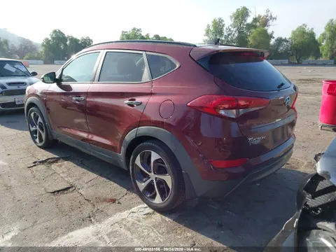 2016 Hyundai Tucson Limited VIN KM8J33A23GU059426 фото 3