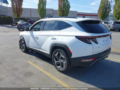 2023 Hyundai Tucson Luxury/ultimate VIN KM8JDDA23PU130174 фото 3