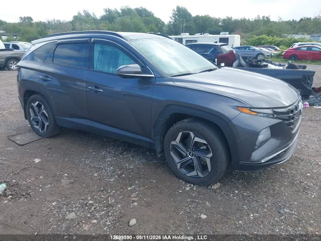 2023 Hyundai Tucson Luxury VIN KM8JCCA14PU131144 фото 1