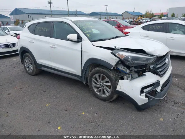 2017 Hyundai Tucson Premium VIN KM8J3CA42HU299974 фото 1