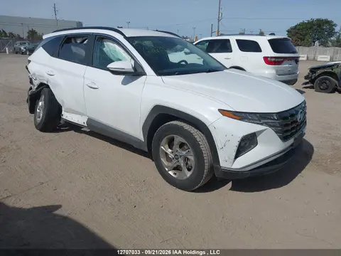 KM8JBCDE8RU334641 — 2024 Hyundai Tucson SEL, Задняя часть (Rear), фото до ремонта