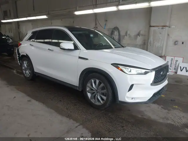 3PCAJ5M35LF106016 — 2020 Infiniti QX50 Autograph/Essential/Essential + Conv/Proassist/Pure/Sensory, Задняя часть (Rear), фото до ремонта