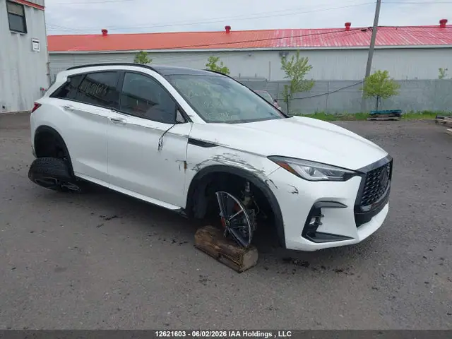 3PCAJ5FB8SF112718 — 2025 Infiniti QX50 Sport, Правый бок (Right Side), фото до ремонта