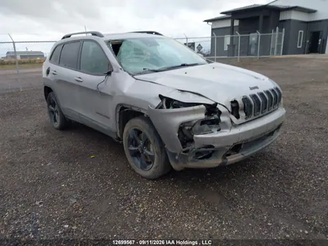 1C4PJMDX6JD558438 — 2018 Jeep Cherokee Limited, Передняя часть (Front), фото до ремонта