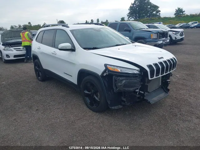 2018 Jeep Cherokee Limited VIN 1C4PJLDBXJD595958 фото 1