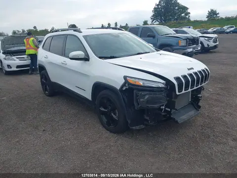 1C4PJLDBXJD595958 — 2018 Jeep Cherokee Limited, Передняя часть (Front), фото до ремонта