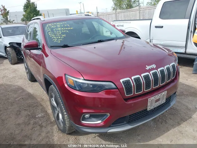 2019 Jeep Cherokee Limited VIN 1C4PJMDN3KD224352 фото 1