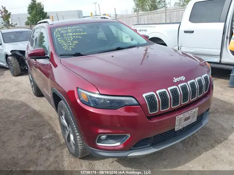 1C4PJMDN3KD224352 — 2019 Jeep Cherokee Limited, Град (Hail), фото до ремонта