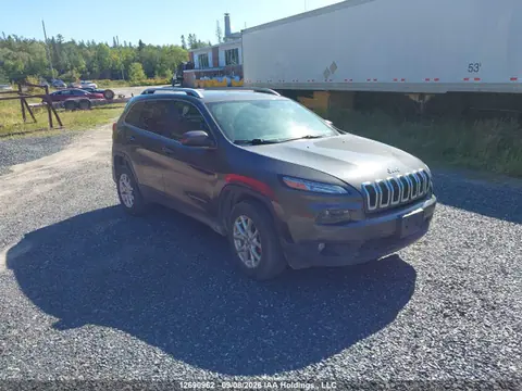 1C4PJMCB2GW100950 — 2016 Jeep Cherokee North, Задняя часть (Rear), фото до ремонта