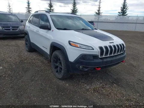 1C4PJMBS9HW580360 — 2017 Jeep Cherokee Trailhawk, Град (Hail), фото до ремонта