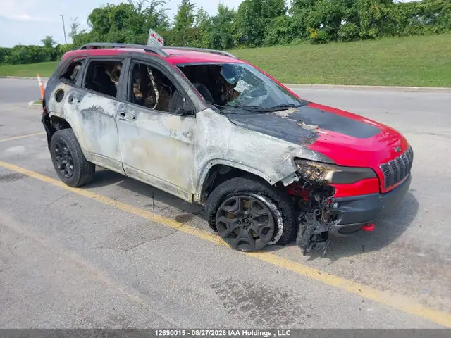 1C4PJMBX2KD443159 — 2019 Jeep Cherokee Trailhawk, Кузов (Exterior Burn), фото до ремонта