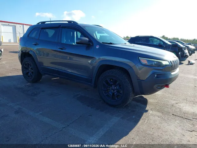 2020 Jeep Cherokee Trailhawk VIN 1C4PJMBX9LD558830 фото 1