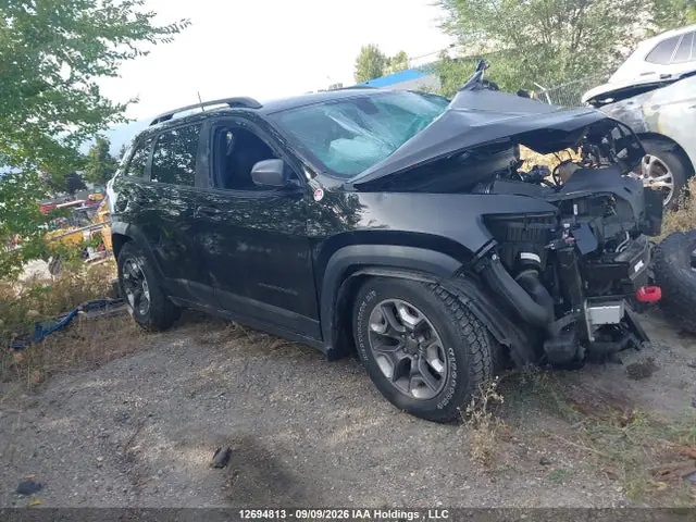 1C4PJMBX1LD636341 — 2020 Jeep Cherokee Trailhawk, Передняя часть (Front), фото до ремонта