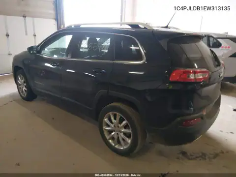 1C4PJLDB1EW313135 — 2014 Jeep Cherokee, фото 4 с аукциона IAAI, Естественный износ