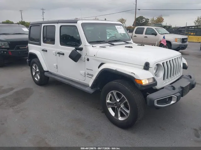 2019 Jeep Wrangler Unlimited Sahara 4x4 VIN 1C4HJXEN6KW614676 фото 1