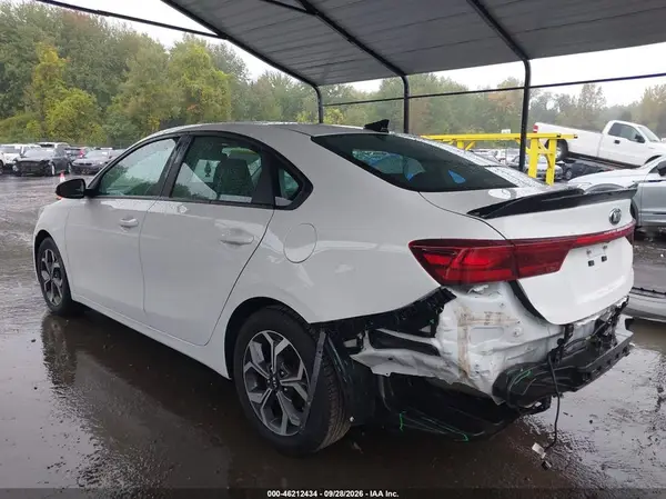 3KPF24AD7LE204223 — 2020 Kia Forte, фото 3 с аукциона IAAI, Задняя часть